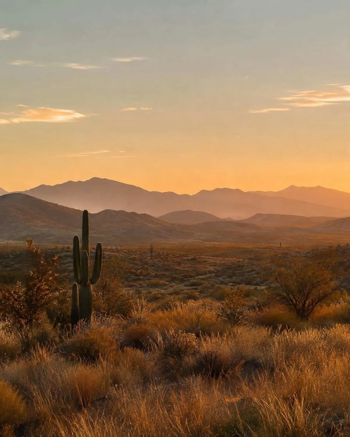 Bisbee Guns — Bisbee, Arizona Desert landscape of Southern Arizona near Bisbee